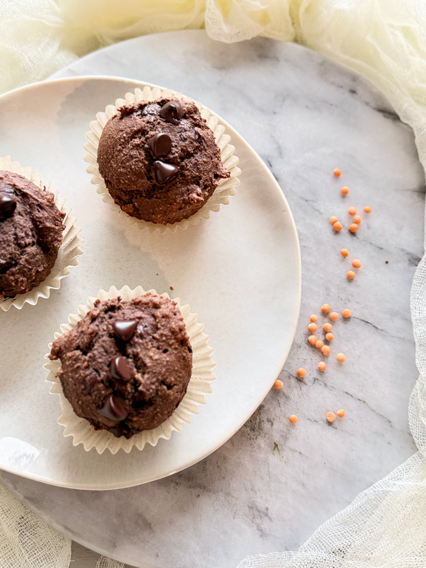 Protein Double Chocolate Muffins