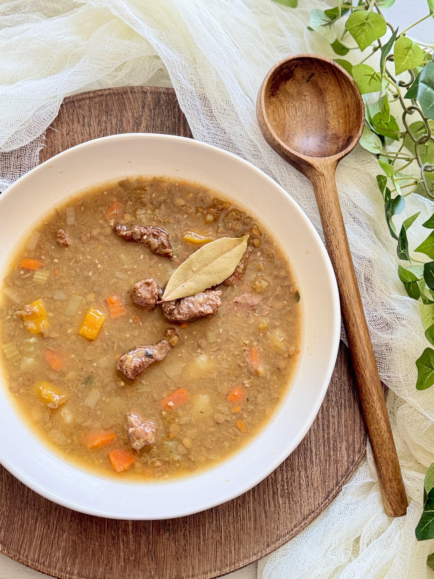 Lentil Beef Soup